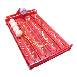 1 Sets New 32-40 Eggs Incubator Incubator Accessories Turn The Eggs Tray Duck Goose Poultry Birds Motor Of 110V/220V/DC12V